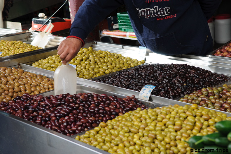 Olive varieties2010d24c142.jpg